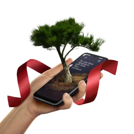 Verschenken sie einen Baum | Treebytree | 100% nachhaltig | Langfristige Erfahrung