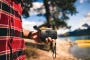 Notfallradio | AM/FM-Radio | 1800mAh Batterie | Bis zu 8 Stunden Taschenlampenlicht