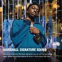 Marshall Willen II 17H+ Speaker