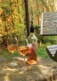 3-pieces wine set | Stainless steel | Cooling stick