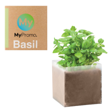 Box mit Basilikum | 1 Liter Gartenkompost | Made in the Netherlands Box mit Basilikum | 1 Liter Gartenkompost | Made in the Netherlands