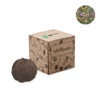 Zaadbom kweekset | Wilde bloemenmix zaden | Made in EU Zaadbom kweekset | Wilde bloemenmix zaden | Made in EU