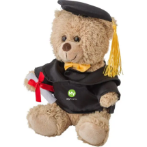 Ours en peluche de remise de diplômes | Polyester | 13x13x20 cm