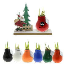 Weihnachts-Amaryllis Zwiebel | Benötigt kein Wasser | Handgefertigtes Wachs | Hergestellt in den Niederlanden Weihnachts-Amaryllis Zwiebel | Benötigt kein Wasser | Handgefertigtes Wachs | Hergestellt in den Niederlanden