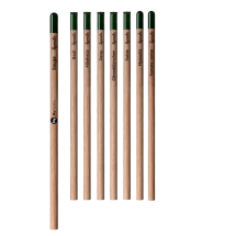 Crayon à planter BIC Sprout | Bois durable | Choisissez parmi 8 graines différentes Crayon à planter BIC Sprout | Bois durable | Choisissez parmi 8 graines différentes