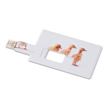 USB memory stick in ABS | 16GB | Credit card shaped USB memory stick in ABS | 16GB | Credit card shaped