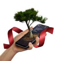 Geef een boom cadeau | Treebytree | 100% duurzaam | 20 jaar lang Geef een boom cadeau | Treebytree | 100% duurzaam | 20 jaar lang