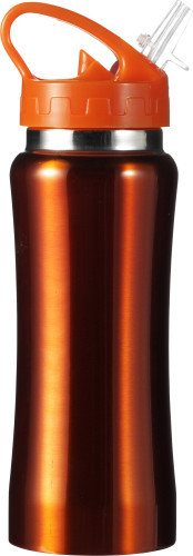 RVS fles blauw