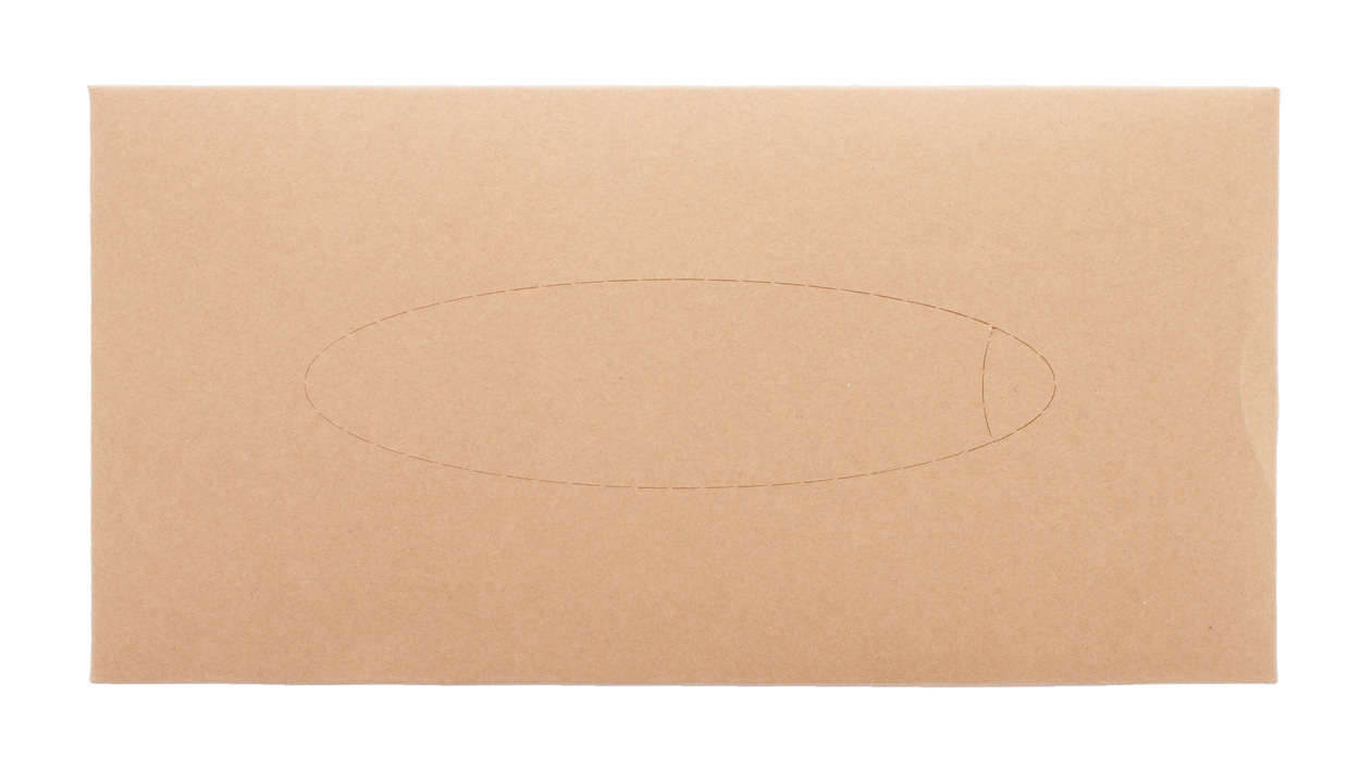 Papieren zakdoekjes | Gerecycled kraftpapier | 215×110×42 mm | Duurzaam | Gemaakt in Europa | Natuurlijk