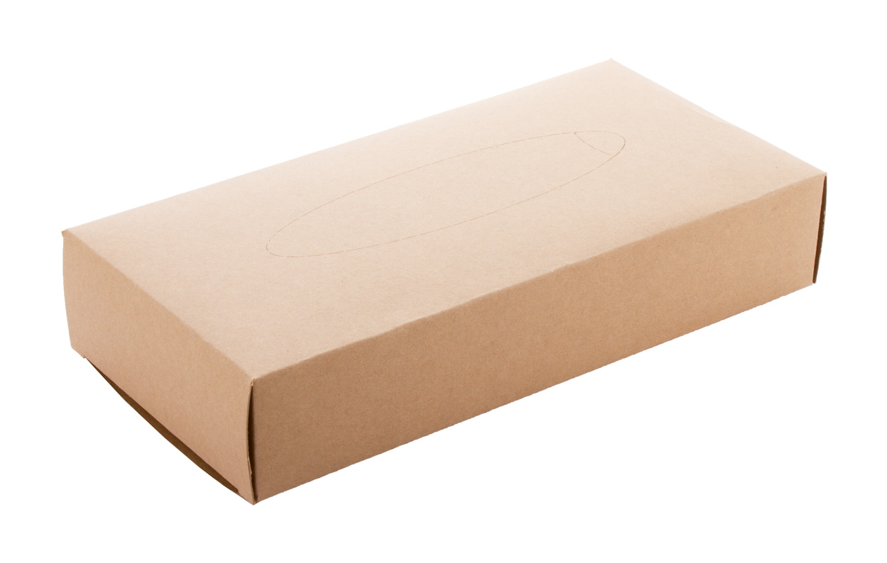 Papiertaschentücher | Recyceltes Kraftpapier | 215×110×42 mm | Nachhaltig | Hergestellt in Europa | Natur