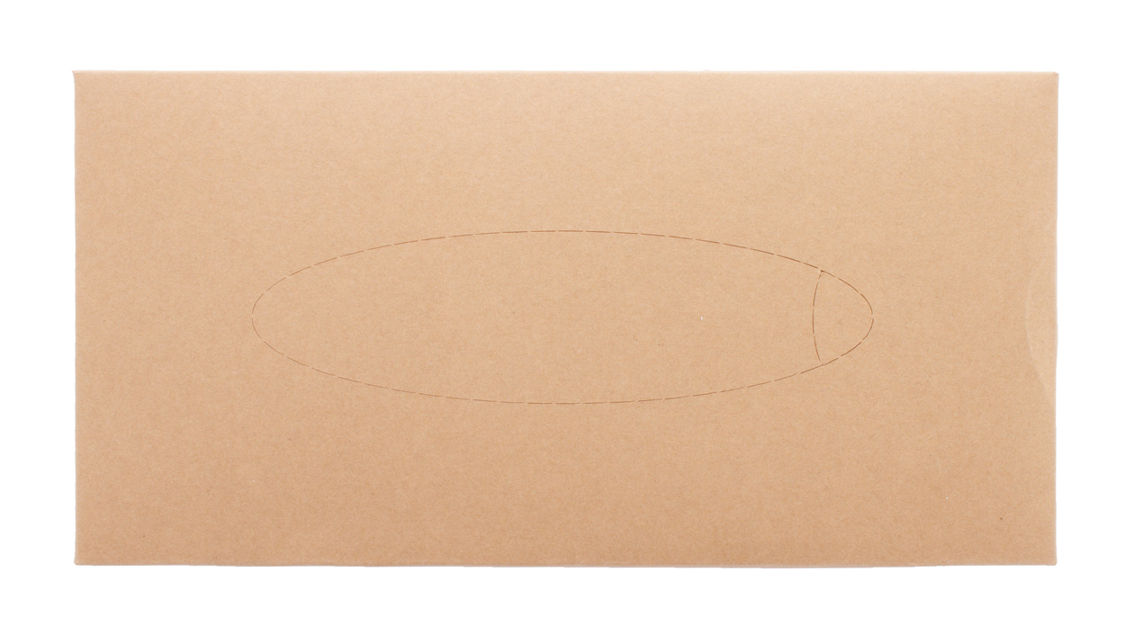 Papiertaschentücher | Recyceltes Kraftpapier | 215×110×42 mm | Nachhaltig | Hergestellt in Europa | Natur