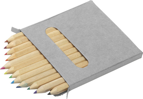 Set douze crayons de couleur | Bois | Eco Friendly | gris
