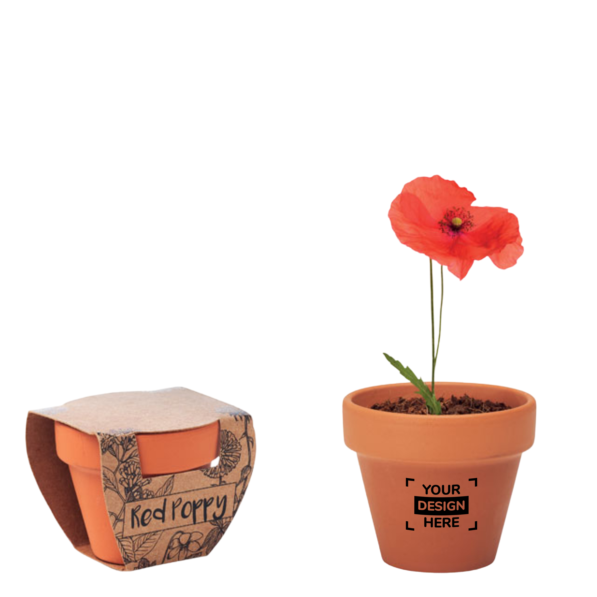 Coquelicot | Pot en terre cuite | 6x5,5x5cm | Fabriqué en UE