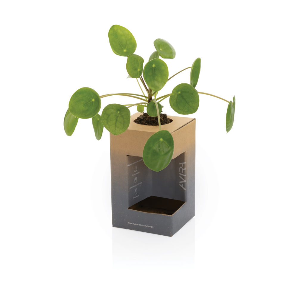 Avira Tumbler | rPP | 300ml | Warm for up to 6h and cold for up to 8h | royal blue