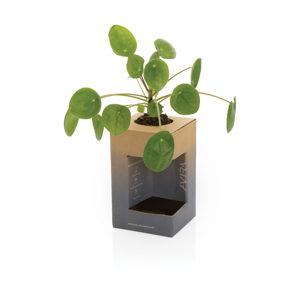 Avira thermosbeker | Gerecycled PP | 300ml | Warm tot 6u en koud tot 8u | blauw