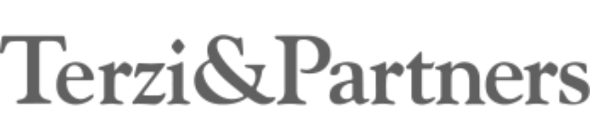 Terzi & Partners logo