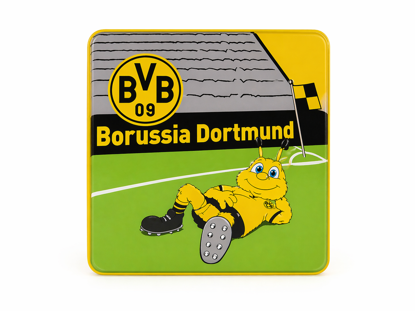 BVB Babybuch